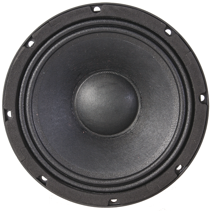 BASS CHASSIS SPEAKER 10 /25cm - 250W BST ODIN8
