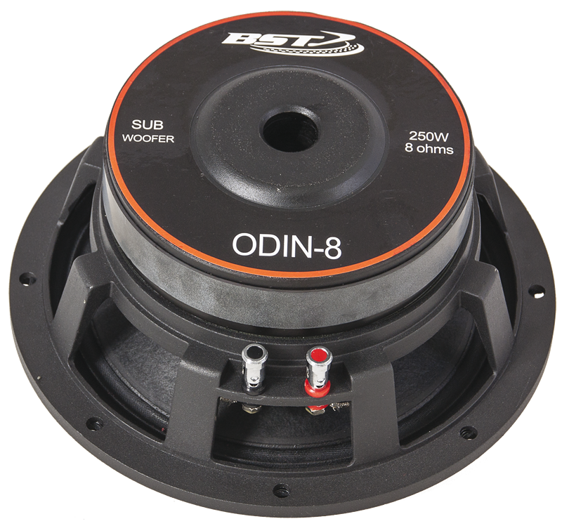 BASS CHASSIS SPEAKER 10 /25cm - 250W BST ODIN8 #2